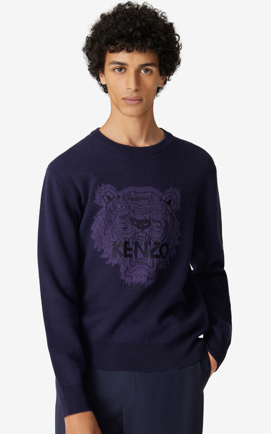 Pull Kenzo Tiger Homme Bleu Marine Bleu | QRCV-08412